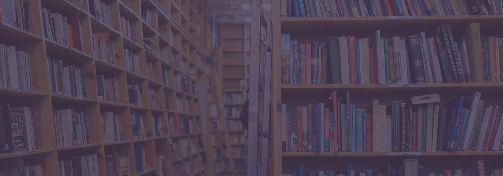 最完美的人永远在我们的梦里